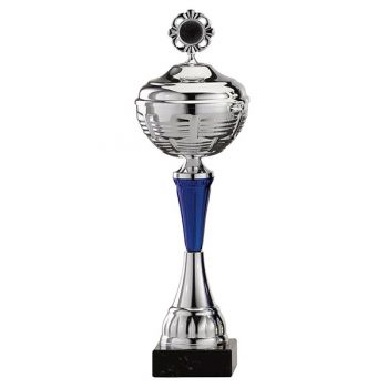Grote zilveren trofee met blauwe accenten