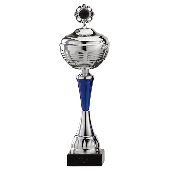Grote zilveren trofee met blauwe accenten