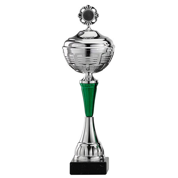 Zilveren trofee met groene accenten als details