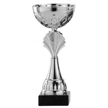 Zilveren trofee met zilveren waaier als detail