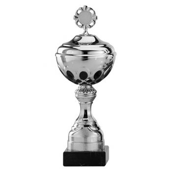 Zilveren trofee met zwarte rondjes als details