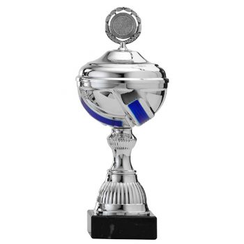 Zilveren trofee met blauwe lijnen als details
