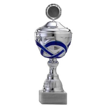 Zilveren trofee met blauwe lijntjes als accenten