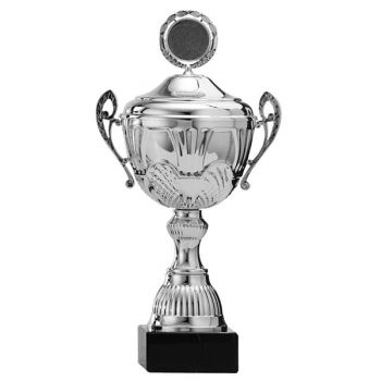 Zilveren trofee met mooie details