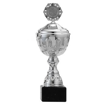 Zilveren trofee met prachtige details