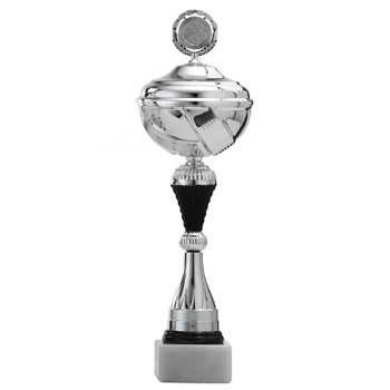 Zilveren trofee met zwarte details in het midden en onderstuk
