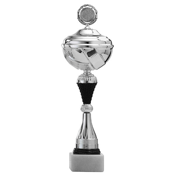 Zilveren trofee met zwarte details in het midden en onderstuk
