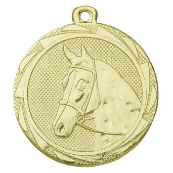 Paardensport medaille goud